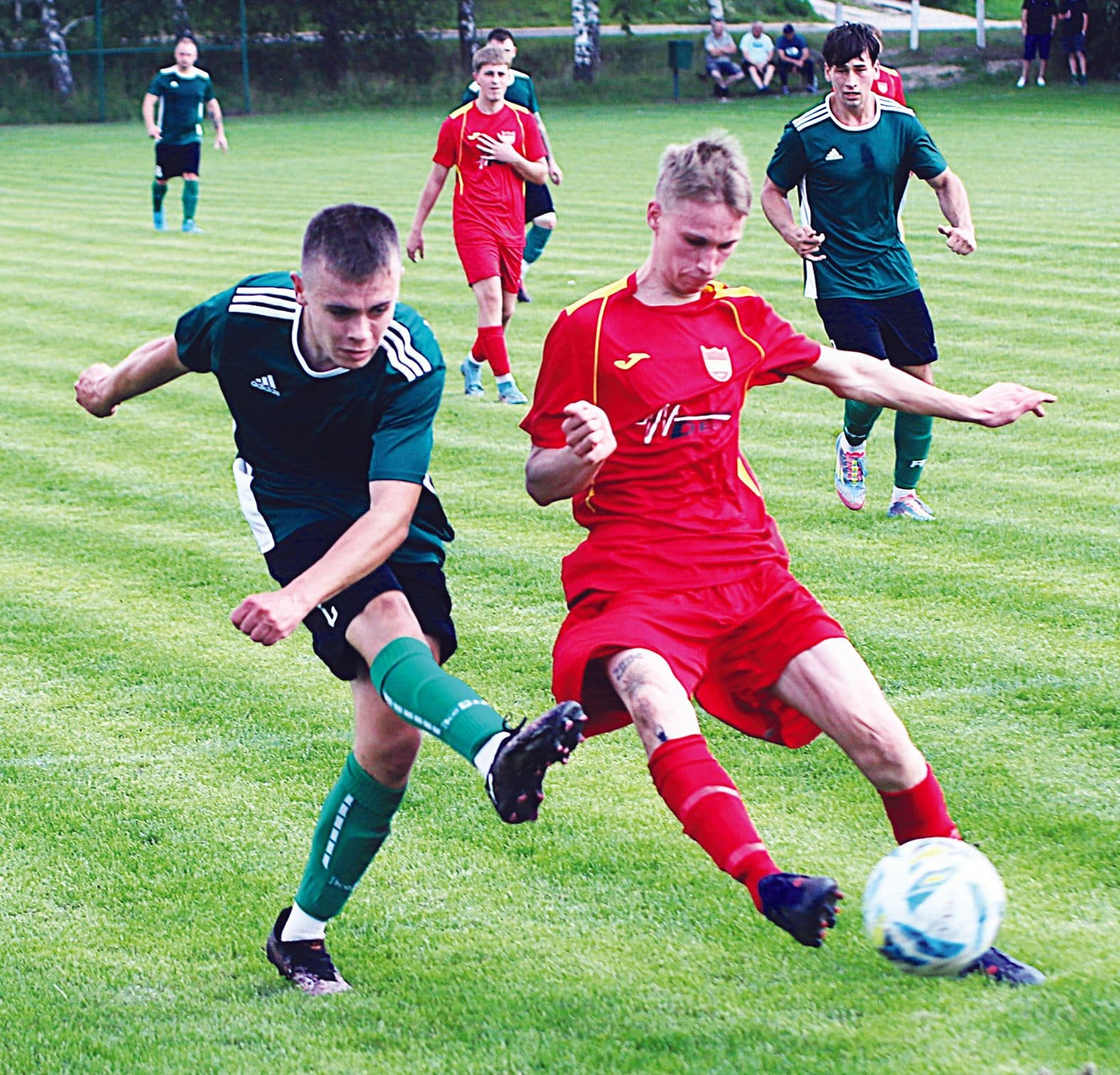 Liczebnie najwięksi