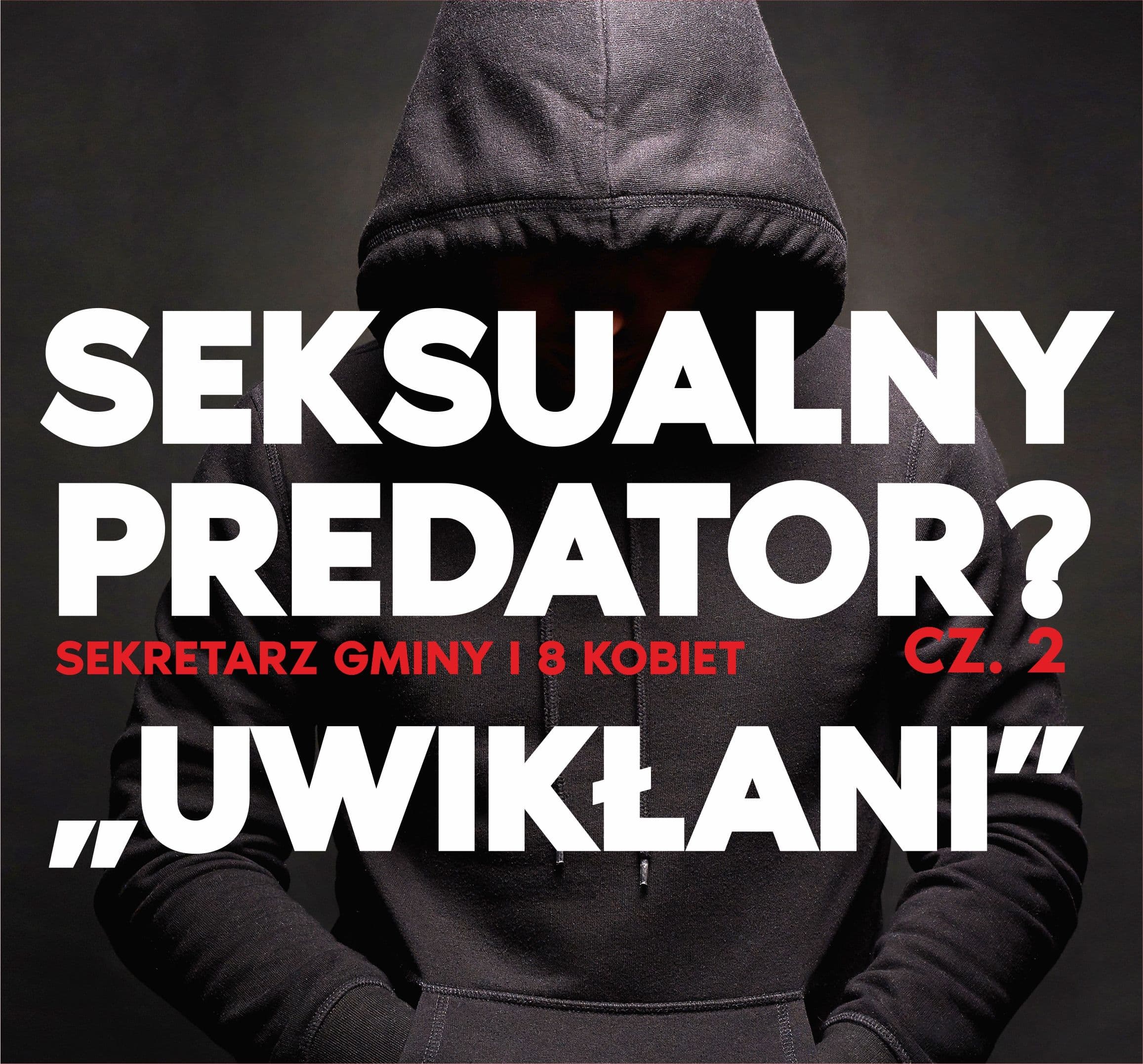 Seksualny Predator?  cz. 2 - „Uwikłani”