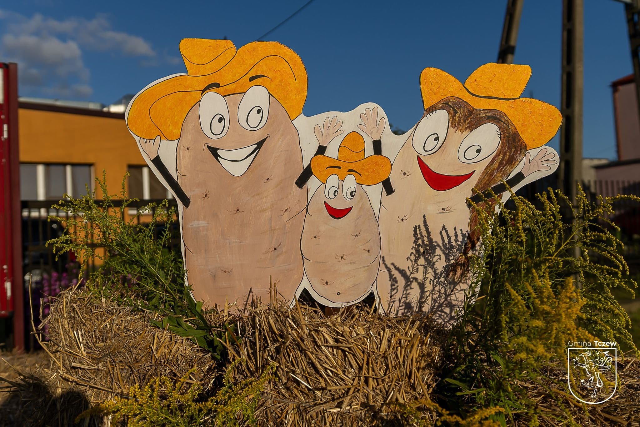 Święto Ziemniaka w Swarożynie – radość, smak i wspólnota