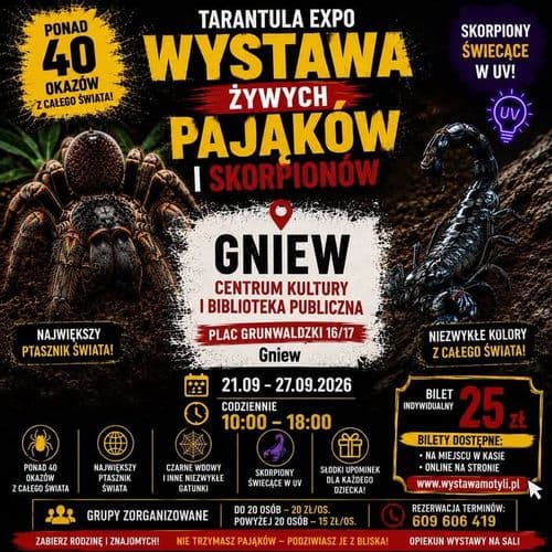 TARANTULA EXPO – WYSTAWA ŻYWYCH PAJĄKÓW I SKORPIONÓW 