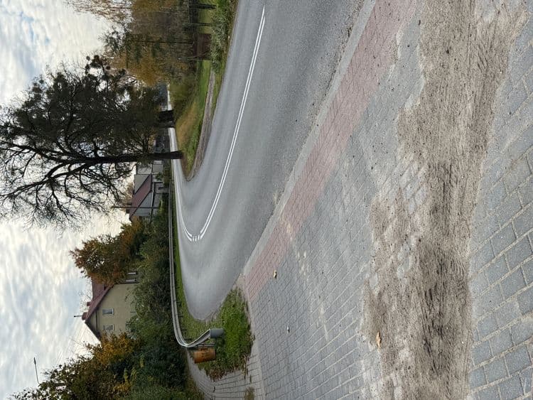 Zdjęcie 1