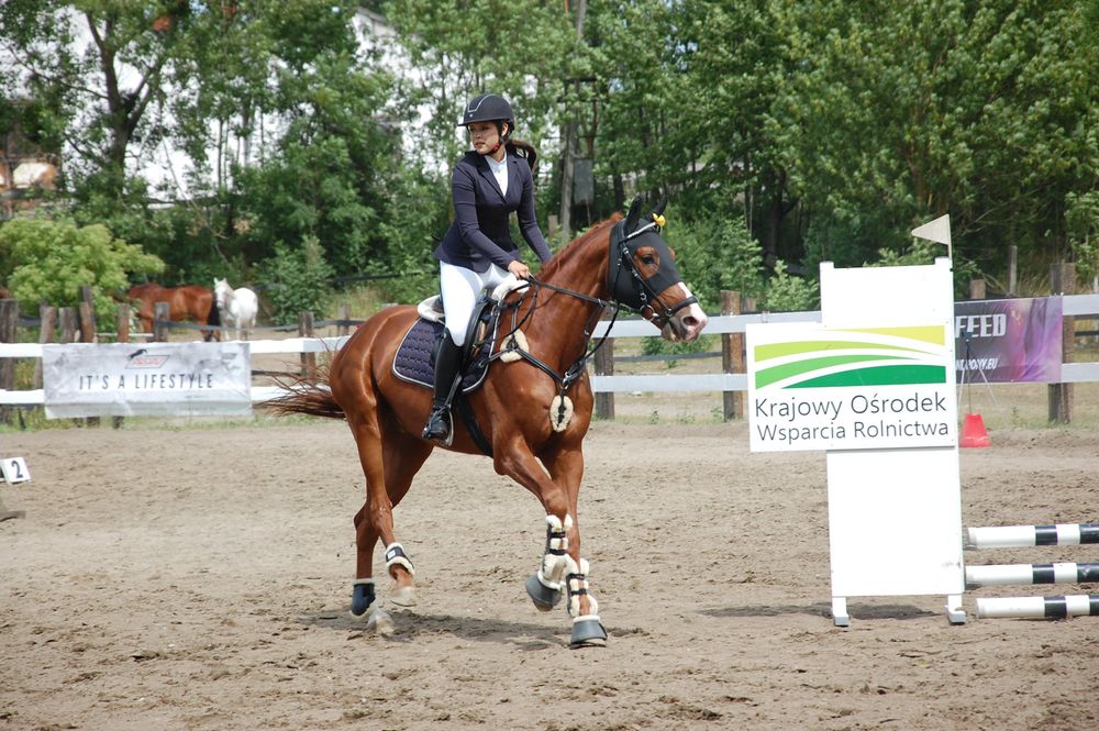 Podziękowali za plony